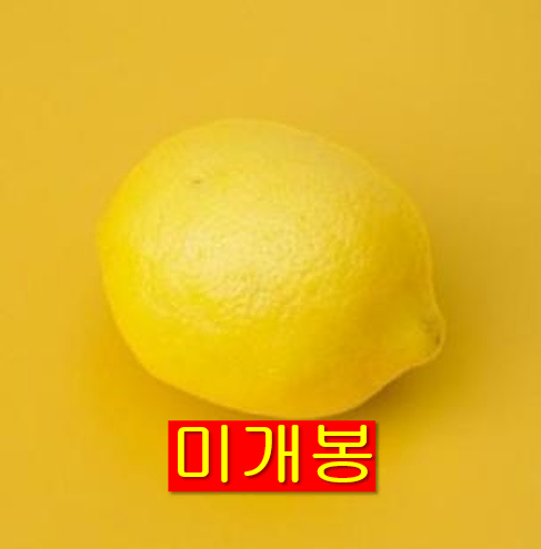 레몬 (Lemon) - Half Life (미개봉, CD)